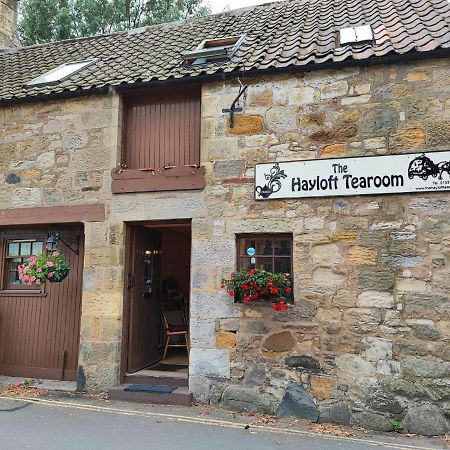 The Hayloft Apartment Falkland Bagian luar foto
